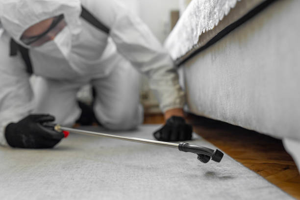 Professional Emergency Pest Control technician working in Roslyn Heights, NY